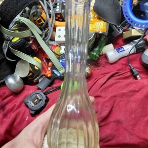 Elegant Clear Glass Vase